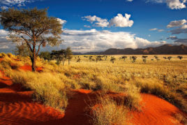 Namibia and Botswana Adventure: 22 May - 13 June