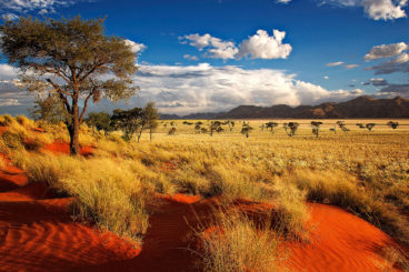 Namibia and Botswana Adventure: 22 May - 13 June