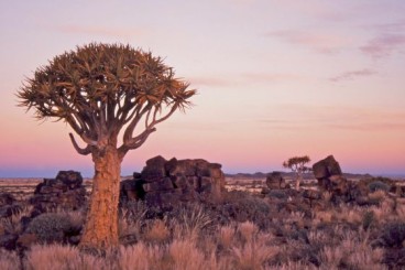 Day 2: Nieuwoudtville and the northern Cederberg