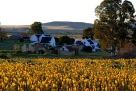Day 11: Orange River to Papkuilsfontein