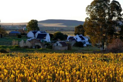 Day 1: Cape Town to Nieuwoudville