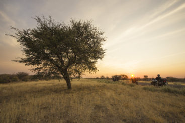 Day 17: Okavango to Dqae Qare San Lodge