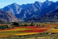 Day 9: Seweweekspoort to Cape Town
