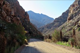 Day 8: Baviaanskloof to Seweweekspoort