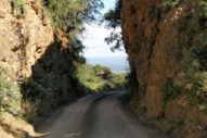 Day 6: Hogsback to Patensie