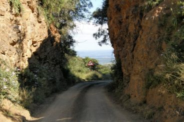 Day 6: Hogsback to Patensie