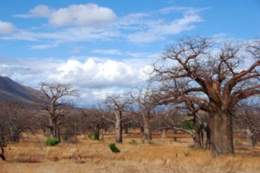 Southern Tanzania
