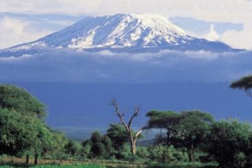 Moshi - Coffee and Kilimanjaro