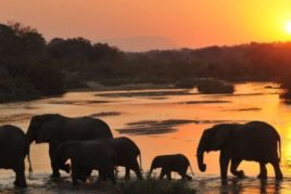 Kruger Park to Cape Town Charity Ride
