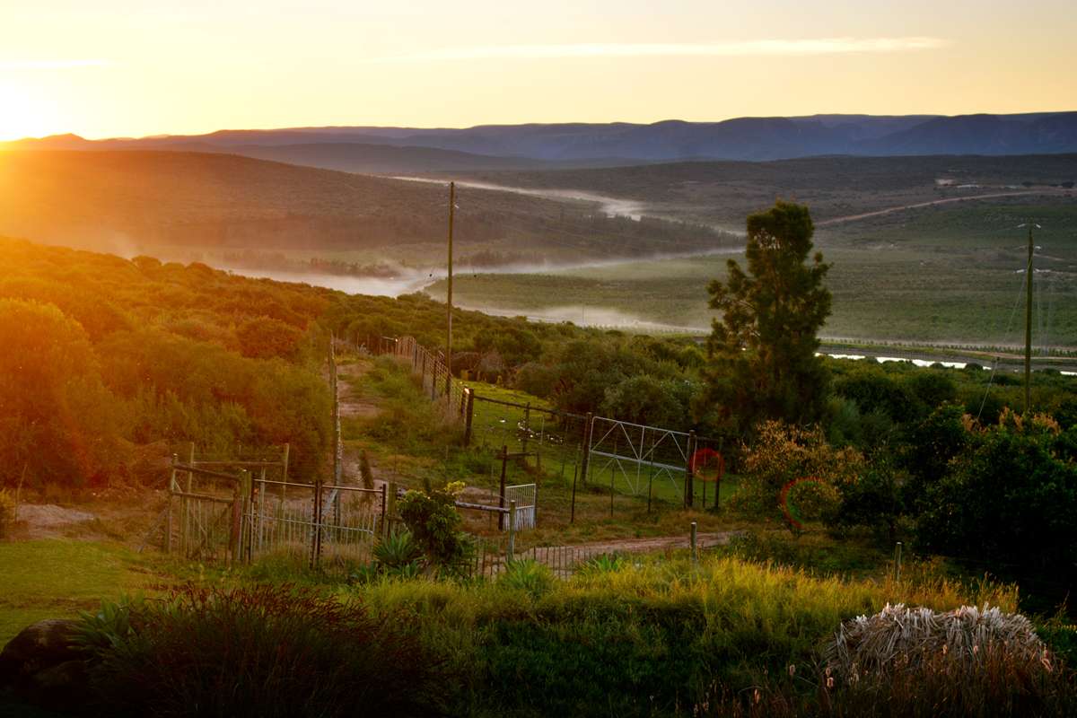 addo dung-beetle-guest-farm-scenic-views-3