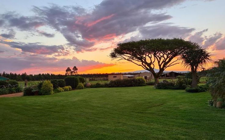 forest hill lodge piet retief