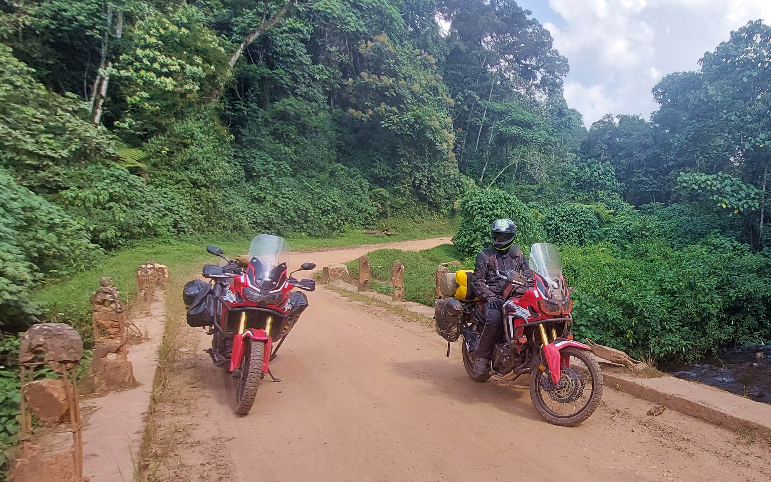 Bwindi Impenetrable Forest CRF1000