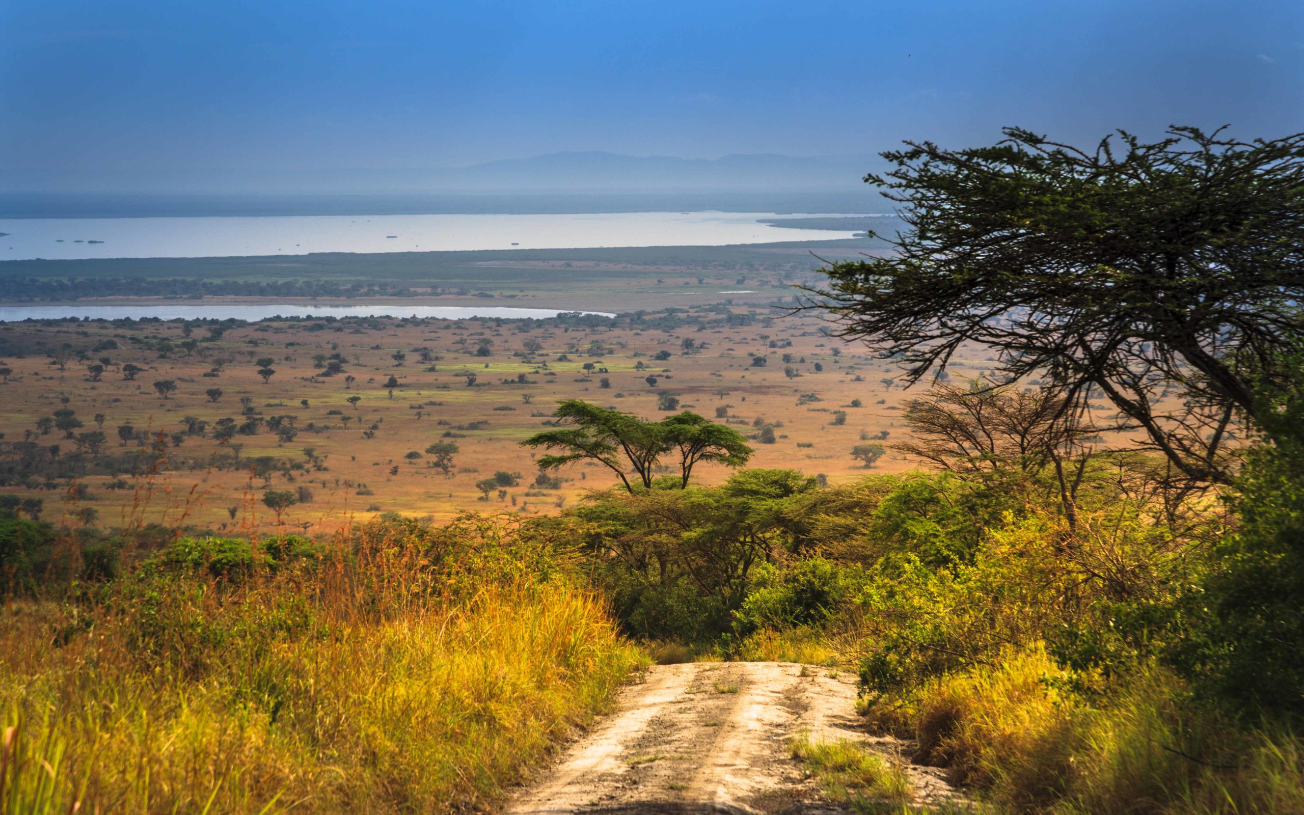 queen elizabeth park uganda 1