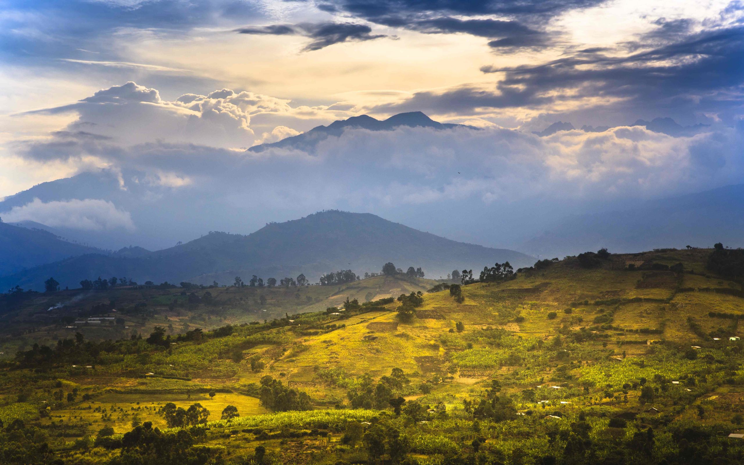 ruwenzori view 2